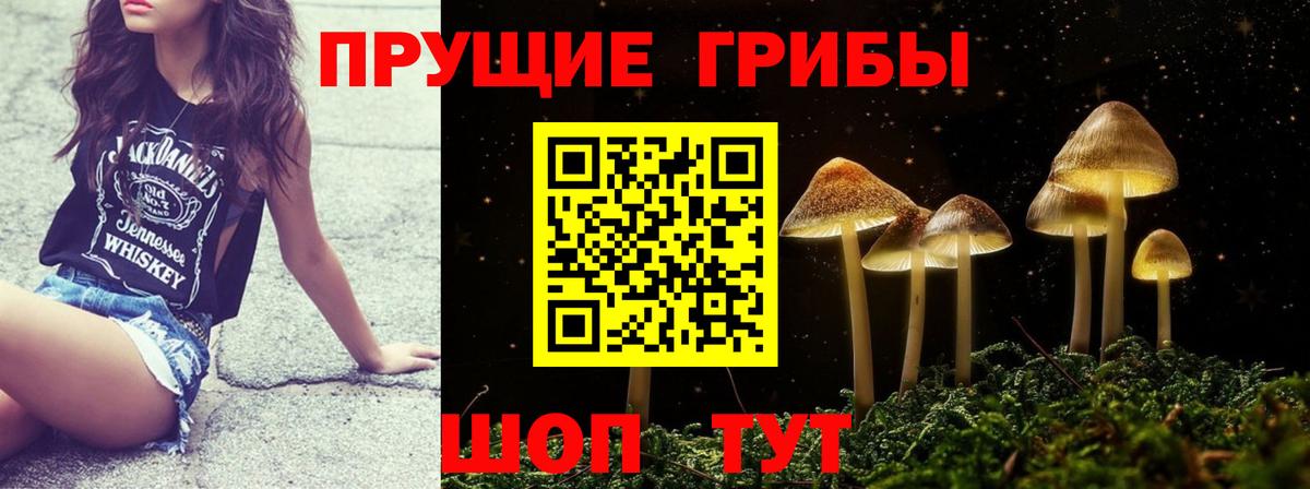 Псилоцибиновые грибы мицелий Мыски